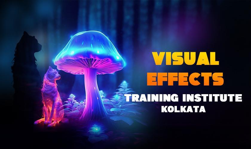 Visual Effects Training Institute Kolkata